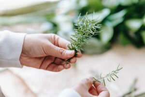 Thyme to aid in pest control