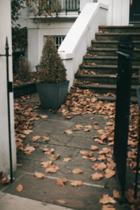 security risk